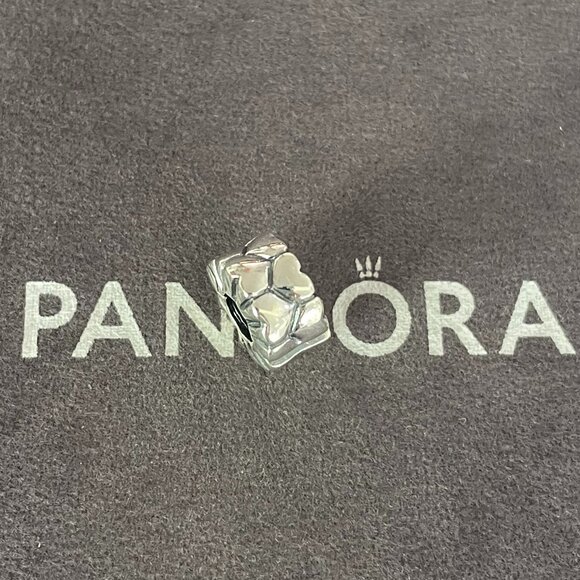 Pandora Heart Pattern Clip Charm - Picture 1 of 4